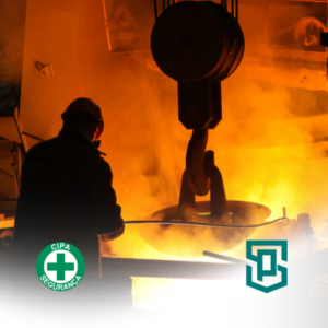 NR 05 - Comissão Interna de Prevenção de Acidentes e Assédio [Grau de Risco 4]